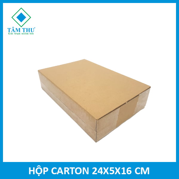 hộp carton size 246
