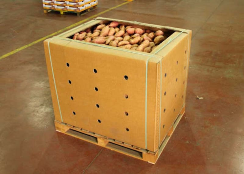 thùng carton đựng khoai lang xuất khẩu - 5